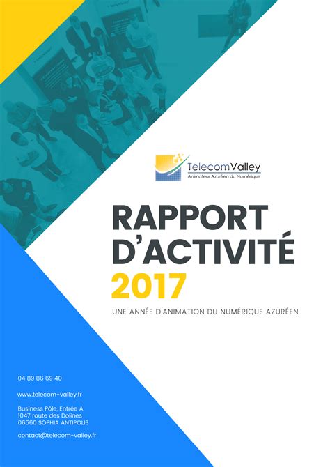 RAPPORT D’ACTIVITÉ 2017